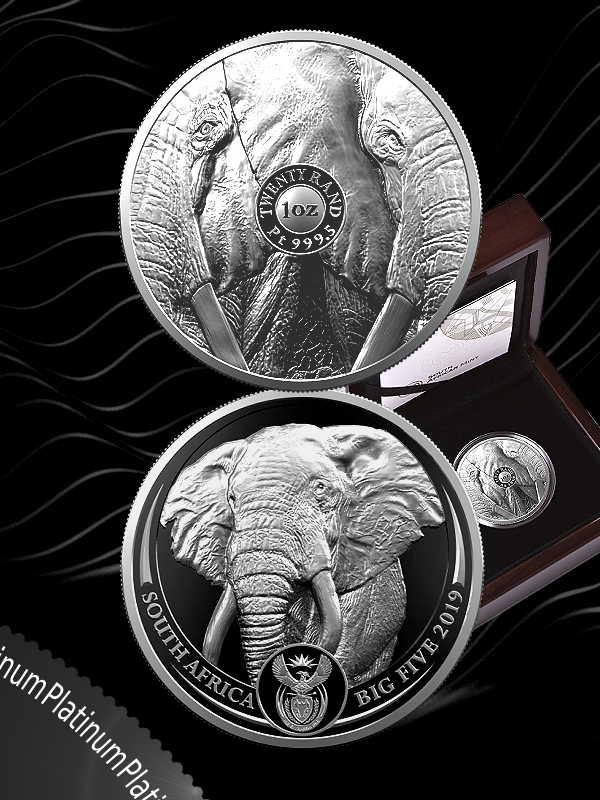 2019 R20 1oz Platinum Proof Big5  Elephant